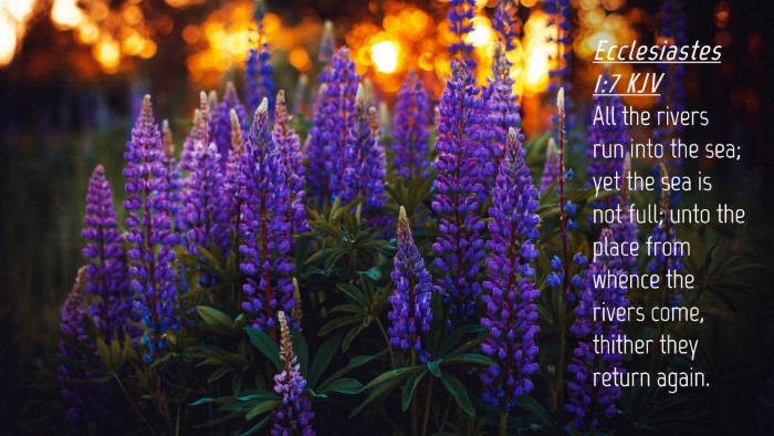 Picture 04 - Ecclesiastes 1:7 KJV Desktop Wallpaper - All the rivers run into the sea; yet the sea is - Desktop Bible Verse Wallpaper