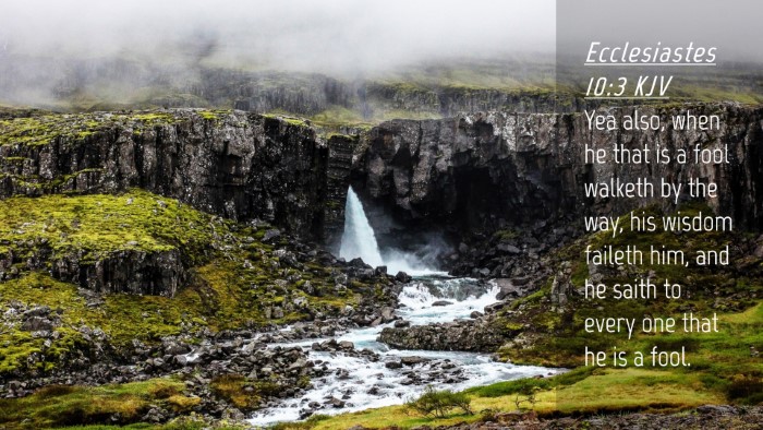 Picture 04 - Ecclesiastes 10:3 KJV Desktop Wallpaper - Yea also, when he that is a fool walketh by the - Desktop Bible Verse Wallpaper