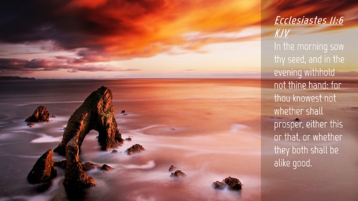 Picture 04 - Ecclesiastes 11:6 KJV Desktop Wallpaper - In the morning sow thy seed, and in the evening - Desktop Bible Verse Wallpaper
