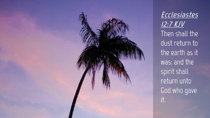 Picture 04 - Ecclesiastes 12:7 KJV Desktop Wallpaper - Then shall the dust return to the earth as it - Desktop Bible Verse Wallpaper