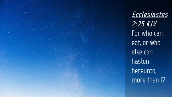 Picture 04 - Ecclesiastes 2:25 KJV Desktop Wallpaper - For who can eat, or who else can hasten hereunto, - Desktop Bible Verse Wallpaper