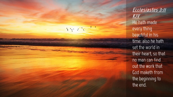 Picture 04 - Ecclesiastes 3:11 KJV Desktop Wallpaper - He hath made every thing beautiful in his time: - Desktop Bible Verse Wallpaper