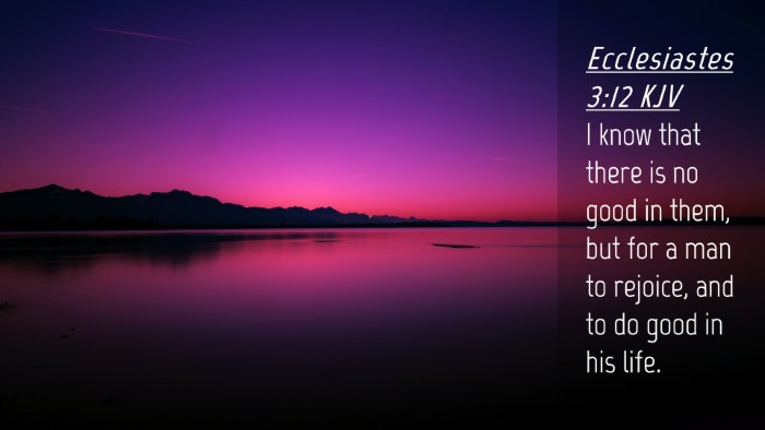 Picture 04 - Ecclesiastes 3:12 KJV Desktop Wallpaper - I know that there is no good in them, but for a - Desktop Bible Verse Wallpaper