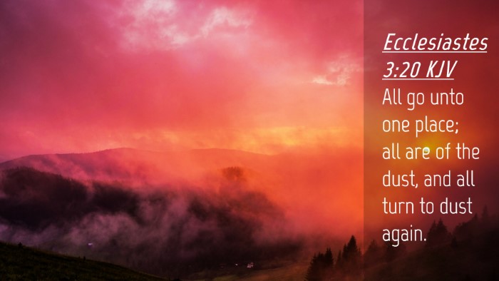 Picture 04 - Ecclesiastes 3:20 KJV Desktop Wallpaper - All go unto one place; all are of the dust, and - Desktop Bible Verse Wallpaper