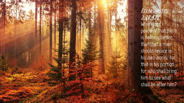 Picture 04 - Ecclesiastes 3:22 KJV Desktop Wallpaper - Wherefore I perceive that there is nothing - Desktop Bible Verse Wallpaper