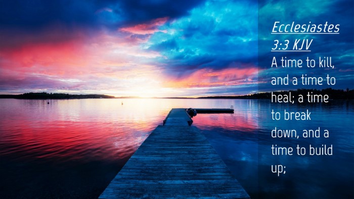 Picture 04 - Ecclesiastes 3:3 KJV Desktop Wallpaper - A time to kill, and a time to heal; a time to - Desktop Bible Verse Wallpaper