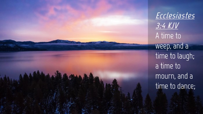 Picture 04 - Ecclesiastes 3:4 KJV Desktop Wallpaper - A time to weep, and a time to laugh; a time to - Desktop Bible Verse Wallpaper