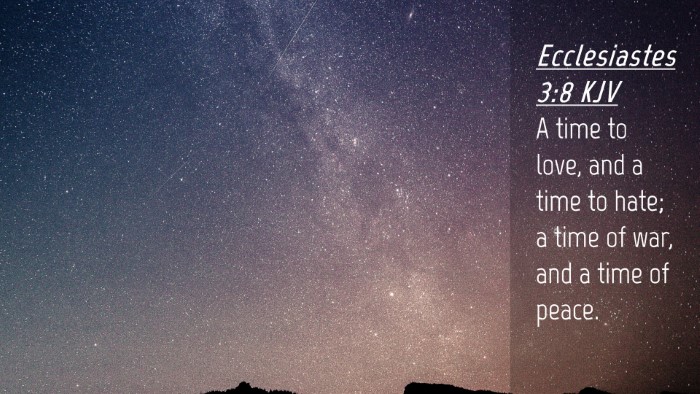 Picture 04 - Ecclesiastes 3:8 KJV Desktop Wallpaper - A time to love, and a time to hate; a time of - Desktop Bible Verse Wallpaper