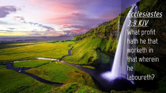 Picture 04 - Ecclesiastes 3:9 KJV Desktop Wallpaper - What profit hath he that worketh in that wherein - Desktop Bible Verse Wallpaper