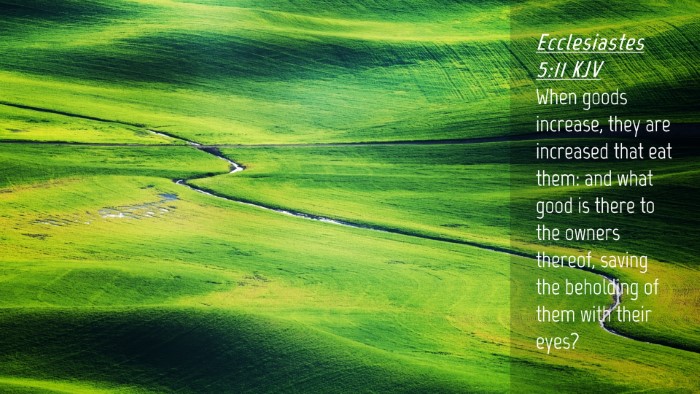 Picture 04 - Ecclesiastes 5:11 KJV Desktop Wallpaper - When goods increase, they are increased that eat - Desktop Bible Verse Wallpaper