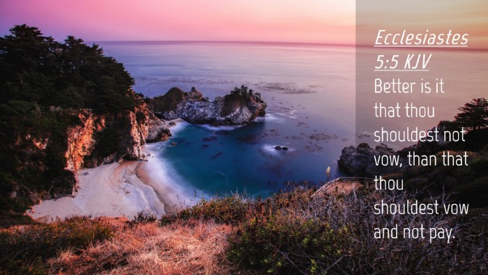 Picture 04 - Ecclesiastes 5:5 KJV Desktop Wallpaper - Better is it that thou shouldest not vow, than - Desktop Bible Verse Wallpaper