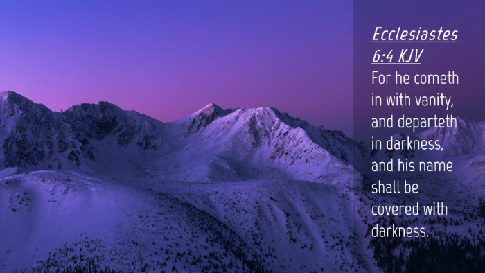 Picture 04 - Ecclesiastes 6:4 KJV Desktop Wallpaper - For he cometh in with vanity, and departeth in - Desktop Bible Verse Wallpaper