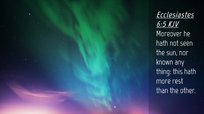 Picture 04 - Ecclesiastes 6:5 KJV Desktop Wallpaper - Moreover he hath not seen the sun, nor known any - Desktop Bible Verse Wallpaper