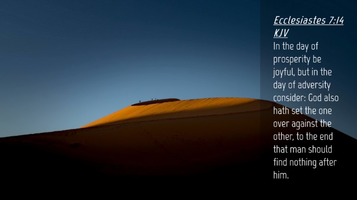 Picture 04 - Ecclesiastes 7:14 KJV Desktop Wallpaper - In the day of prosperity be joyful, but in the - Desktop Bible Verse Wallpaper