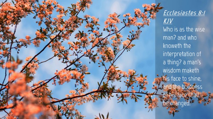 Picture 04 - Ecclesiastes 8:1 KJV Desktop Wallpaper - Who is as the wise man? and who knoweth the - Desktop Bible Verse Wallpaper