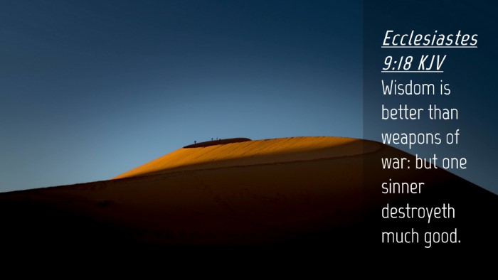 Picture 04 - Ecclesiastes 9:18 KJV Desktop Wallpaper - Wisdom is better than weapons of war: but one - Desktop Bible Verse Wallpaper