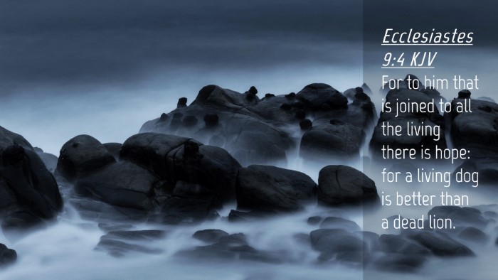 Picture 04 - Ecclesiastes 9:4 KJV Desktop Wallpaper - For to him that is joined to all the living there - Desktop Bible Verse Wallpaper