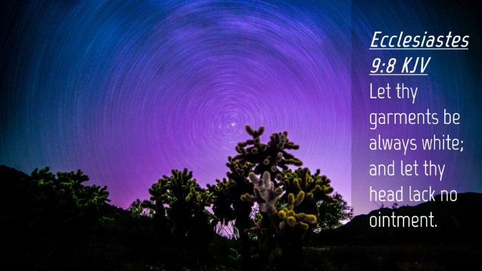 Picture 04 - Ecclesiastes 9:8 KJV Desktop Wallpaper - Let thy garments be always white; and let thy - Desktop Bible Verse Wallpaper