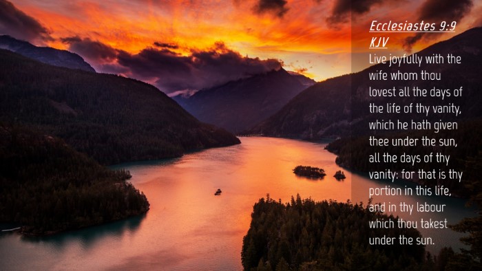 Picture 04 - Ecclesiastes 9:9 KJV Desktop Wallpaper - Live joyfully with the wife whom thou lovest all - Desktop Bible Verse Wallpaper