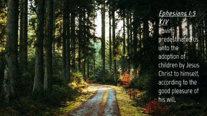 Picture 04 - Ephesians 1:5 KJV Desktop Wallpaper - Having predestinated us unto the adoption of - Desktop Bible Verse Wallpaper