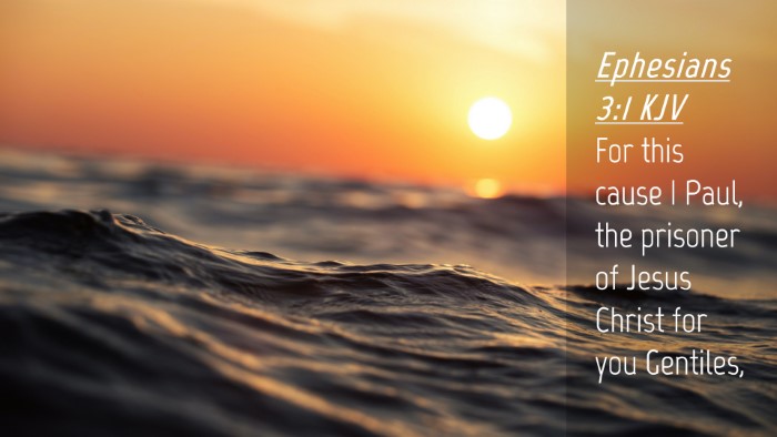 Picture 04 - Ephesians 3:1 KJV Desktop Wallpaper - For this cause I Paul, the prisoner of Jesus - Desktop Bible Verse Wallpaper