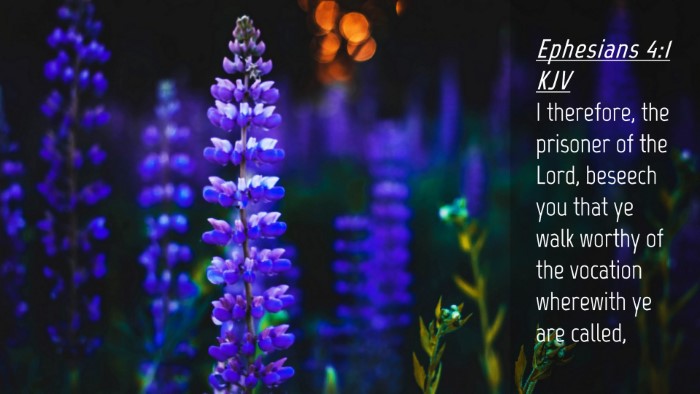 Picture 04 - Ephesians 4:1 KJV Desktop Wallpaper - I therefore, the prisoner of the Lord, beseech - Desktop Bible Verse Wallpaper