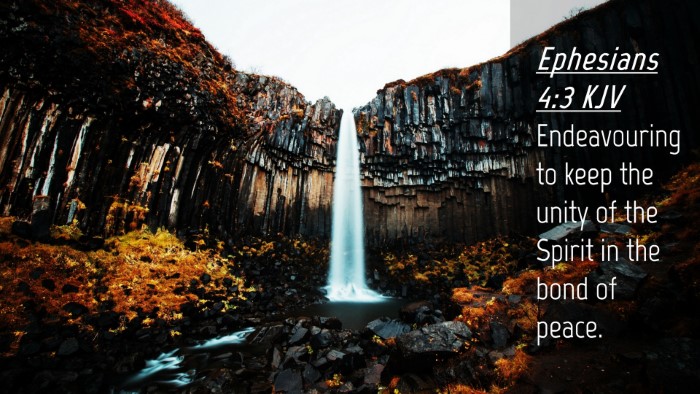 Picture 04 - Ephesians 4:3 KJV Desktop Wallpaper - Endeavouring to keep the unity of the Spirit in - Desktop Bible Verse Wallpaper