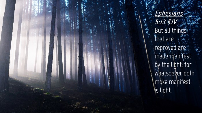 Picture 04 - Ephesians 5:13 KJV Desktop Wallpaper - But all things that are reproved are made - Desktop Bible Verse Wallpaper