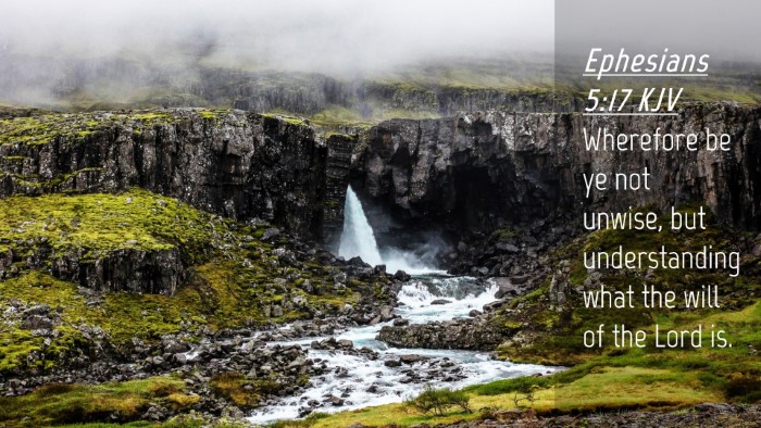 Picture 04 - Ephesians 5:17 KJV Desktop Wallpaper - Wherefore be ye not unwise, but understanding - Desktop Bible Verse Wallpaper