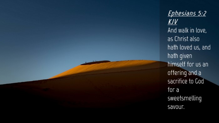 Picture 04 - Ephesians 5:2 KJV Desktop Wallpaper - And walk in love, as Christ also hath loved us, - Desktop Bible Verse Wallpaper