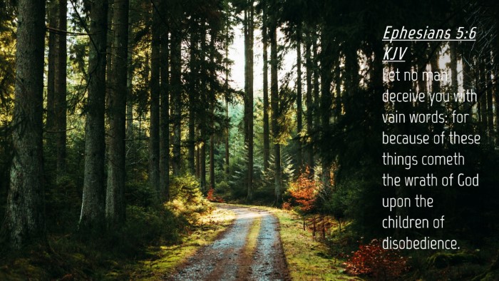 Picture 04 - Ephesians 5:6 KJV Desktop Wallpaper - Let no man deceive you with vain words: for - Desktop Bible Verse Wallpaper