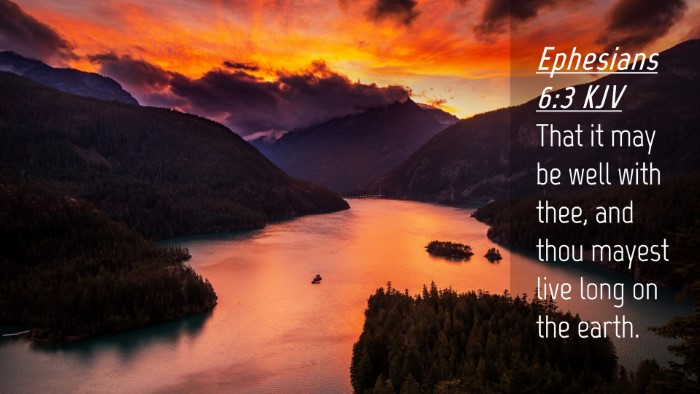 Picture 04 - Ephesians 6:3 KJV Desktop Wallpaper - That it may be well with thee, and thou mayest - Desktop Bible Verse Wallpaper