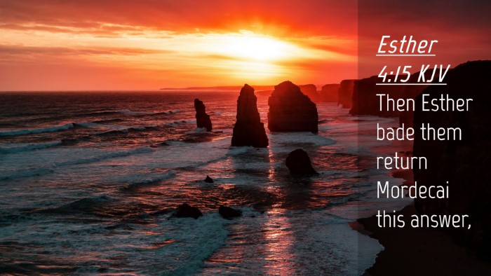 Picture 04 - Esther 4:15 KJV Desktop Wallpaper - Then Esther bade them return Mordecai this - Desktop Bible Verse Wallpaper