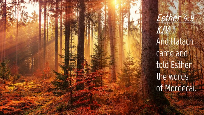 Picture 04 - Esther 4:9 KJV Desktop Wallpaper - And Hatach came and told Esther the words of - Desktop Bible Verse Wallpaper