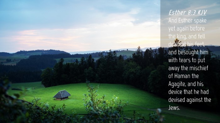 Picture 04 - Esther 8:3 KJV Desktop Wallpaper - And Esther spake yet again before the king, and - Desktop Bible Verse Wallpaper
