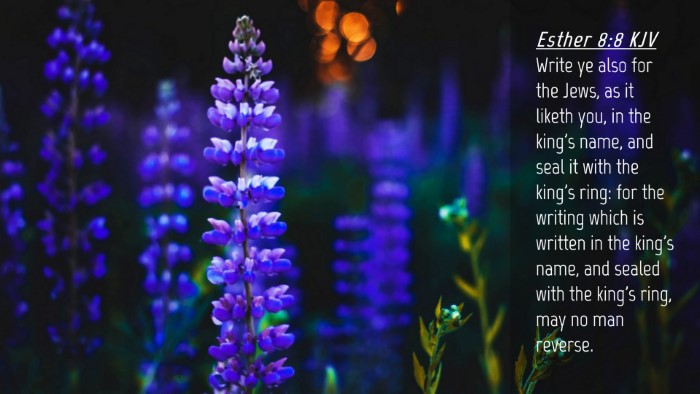 Picture 04 - Esther 8:8 KJV Desktop Wallpaper - Write ye also for the Jews, as it liketh you, in - Desktop Bible Verse Wallpaper