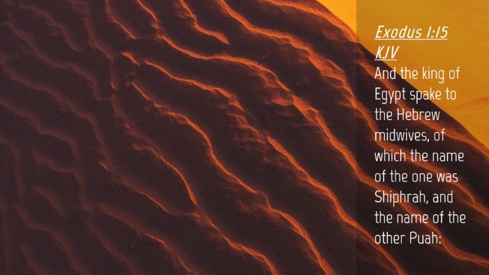 Picture 04 - Exodus 1:15 KJV Desktop Wallpaper - And the king of Egypt spake to the Hebrew - Desktop Bible Verse Wallpaper