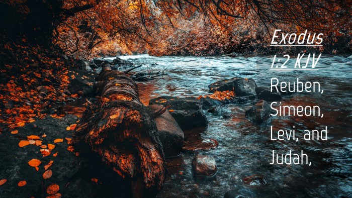 Picture 04 - Exodus 1:2 KJV Desktop Wallpaper - Reuben, Simeon, Levi, and - Desktop Bible Verse Wallpaper
