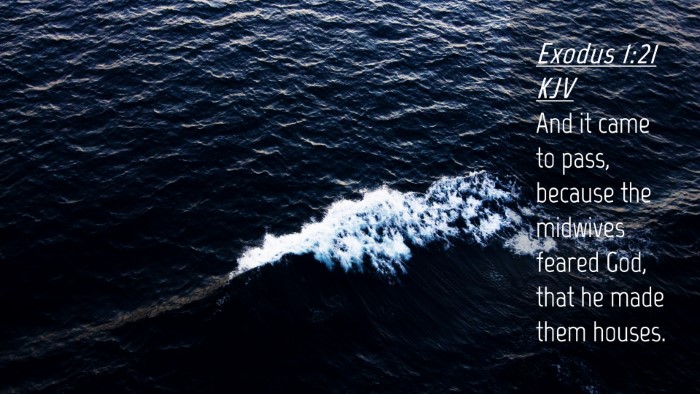 Picture 04 - Exodus 1:21 KJV Desktop Wallpaper - And it came to pass, because the midwives feared - Desktop Bible Verse Wallpaper