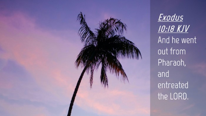 Picture 04 - Exodus 10:18 KJV Desktop Wallpaper - And he went out from Pharaoh, and entreated the - Desktop Bible Verse Wallpaper
