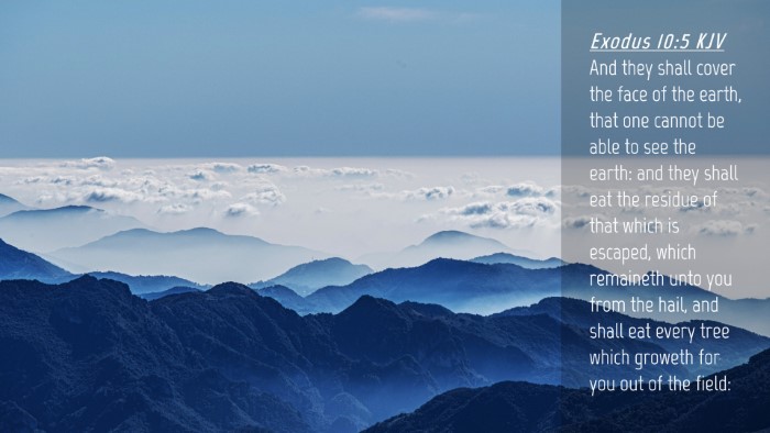 Picture 04 - Exodus 10:5 KJV Desktop Wallpaper - And they shall cover the face of the earth, that - Desktop Bible Verse Wallpaper