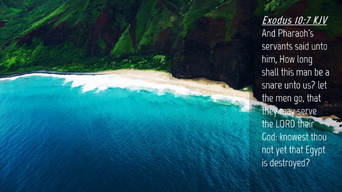Picture 04 - Exodus 10:7 KJV Desktop Wallpaper - And Pharaoh's servants said unto him, How long - Desktop Bible Verse Wallpaper