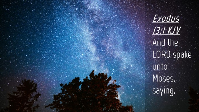 Picture 04 - Exodus 13:1 KJV Desktop Wallpaper - And the LORD spake unto Moses, - Desktop Bible Verse Wallpaper