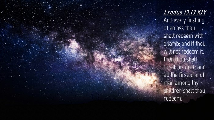 Picture 04 - Exodus 13:13 KJV Desktop Wallpaper - And every firstling of an ass thou shalt redeem - Desktop Bible Verse Wallpaper