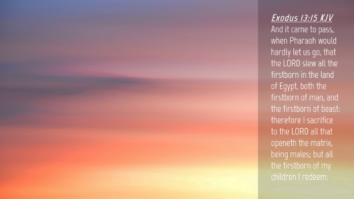 Picture 04 - Exodus 13:15 KJV Desktop Wallpaper - And it came to pass, when Pharaoh would hardly - Desktop Bible Verse Wallpaper