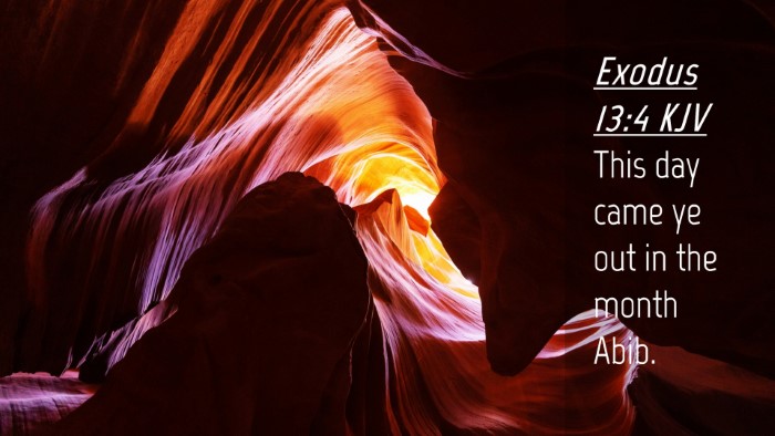 Picture 04 - Exodus 13:4 KJV Desktop Wallpaper - This day came ye out in the month - Desktop Bible Verse Wallpaper