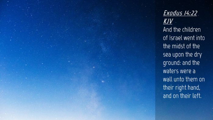 Picture 04 - Exodus 14:22 KJV Desktop Wallpaper - And the children of Israel went into the midst of - Desktop Bible Verse Wallpaper