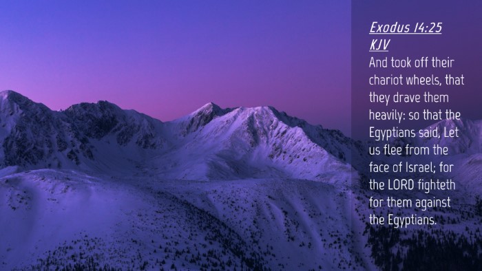 Picture 04 - Exodus 14:25 KJV Desktop Wallpaper - And took off their chariot wheels, that they - Desktop Bible Verse Wallpaper