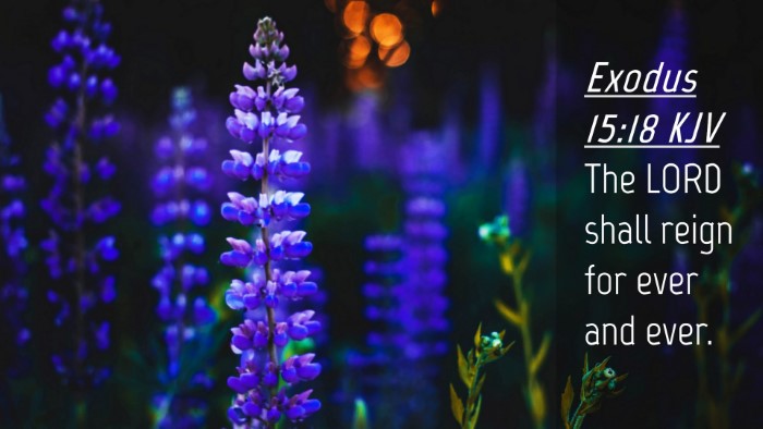 Picture 04 - Exodus 15:18 KJV Desktop Wallpaper - The LORD shall reign for ever and - Desktop Bible Verse Wallpaper