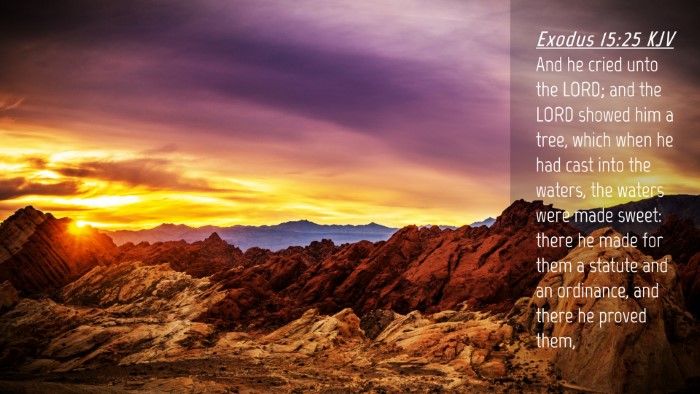 Picture 04 - Exodus 15:25 KJV Desktop Wallpaper - And he cried unto the LORD; and the LORD showed - Desktop Bible Verse Wallpaper